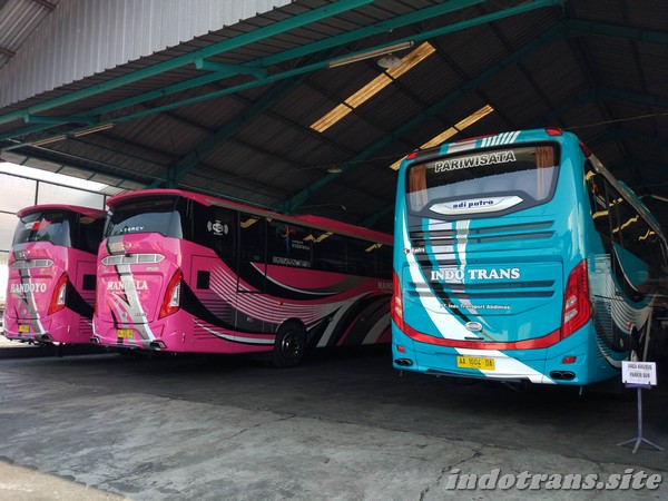 Dimana Garasi Bus Indo Trans