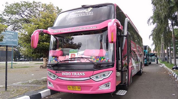 006 Bus Po Indo Trans Jb3 Hdd Pink
