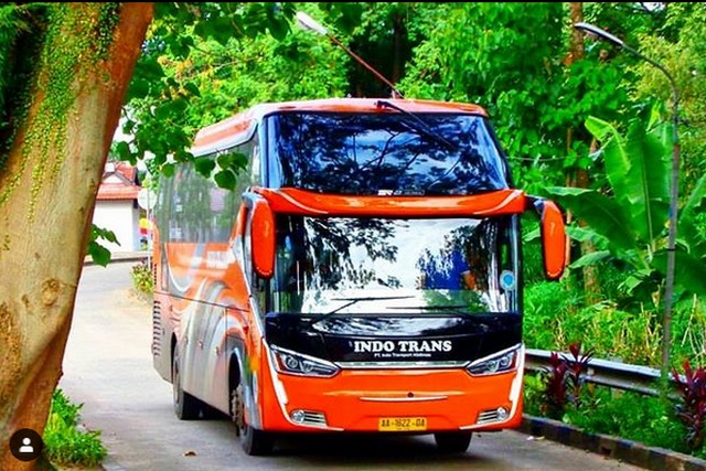 Indo Trans SR2 Laksana HDD Warna Orange