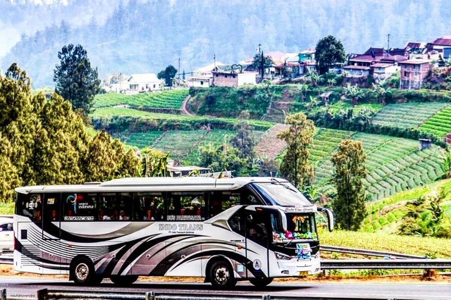 Indo Trans Terbaru 2019